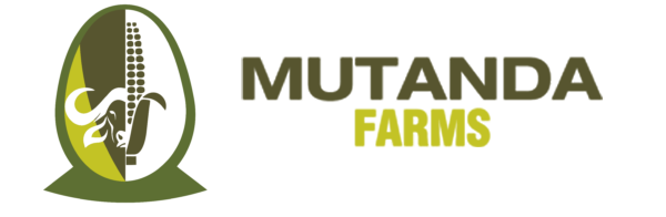 Mutanda Farms