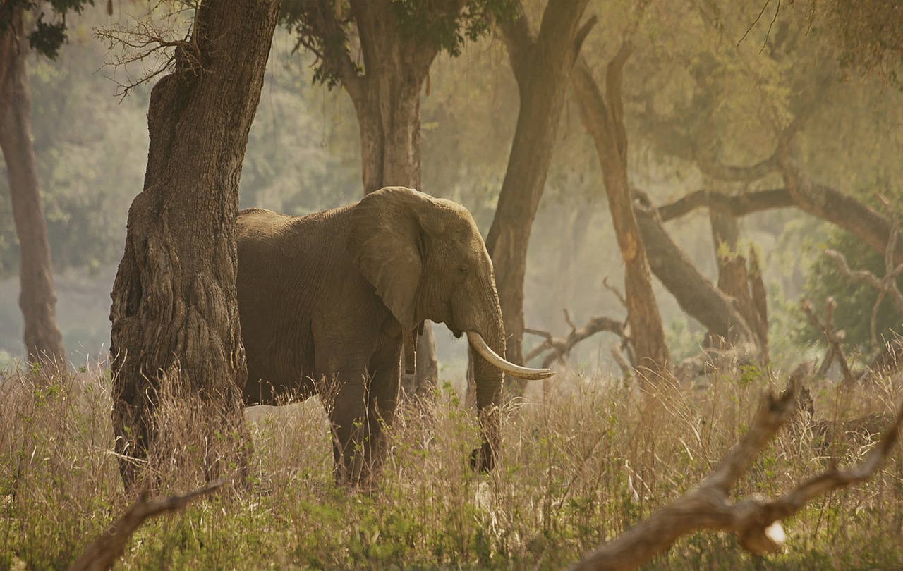 Environmental Protection Fund Audits